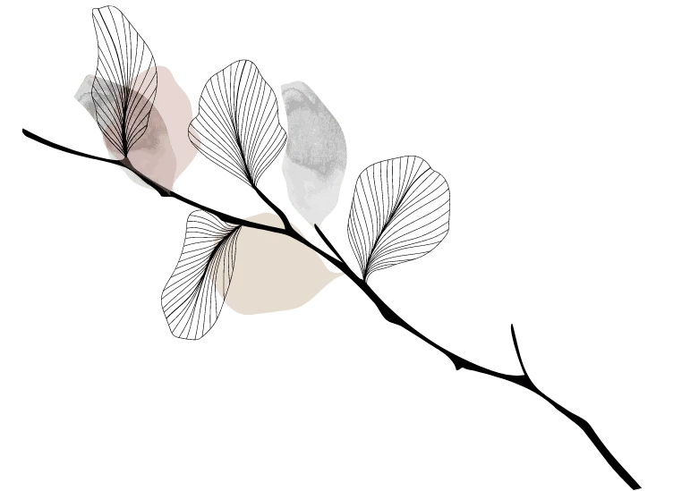 Eine Zeichnung eines Zweiges mit Blättern in Schwarz und Weiß.